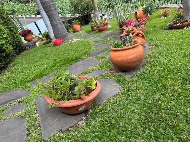 Villa Zeza´s Garden Calheta  Ferienhaus Calheta (Madeira)